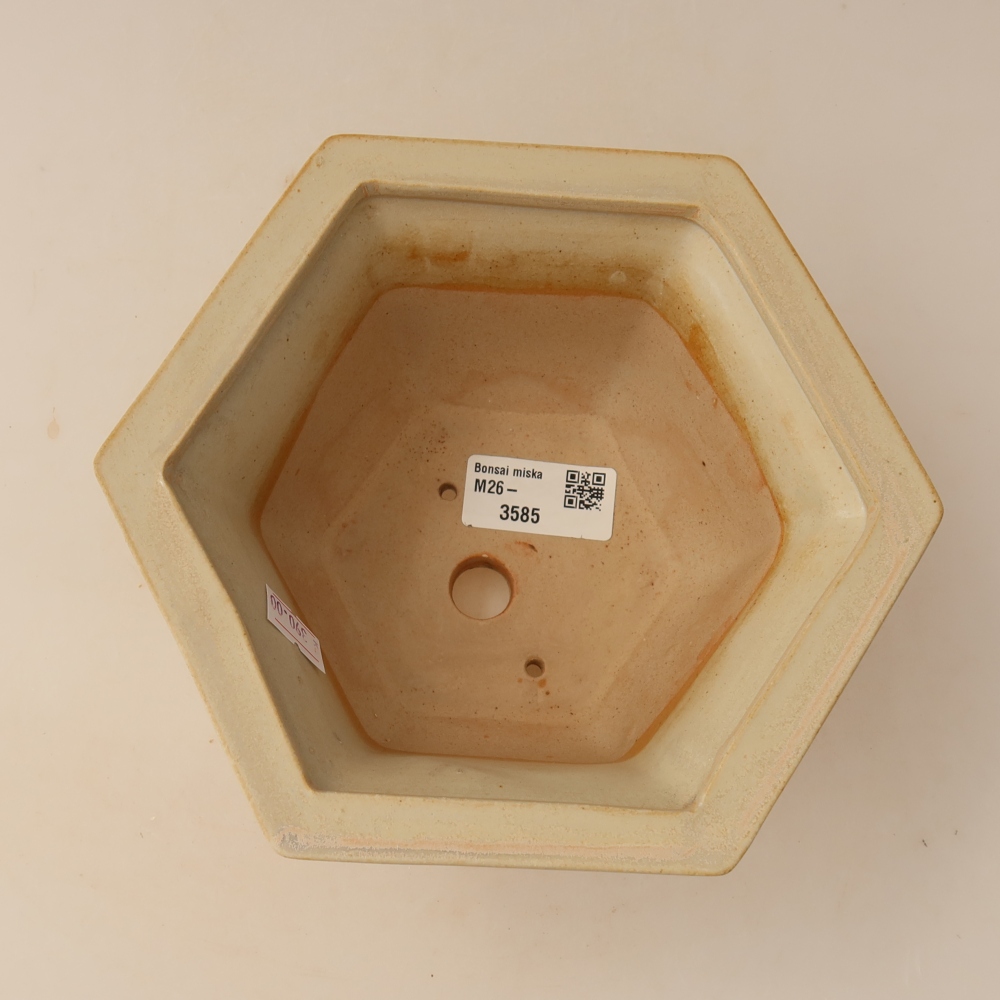 Ceramic bonsai pot, 18.5 x 16.5 x 9 cm, beige