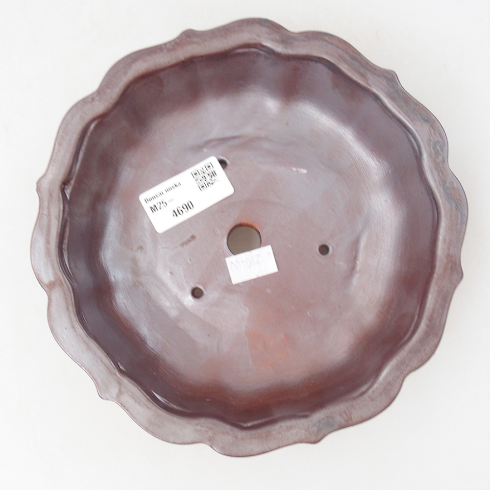 Ceramic bonsai bowl 18 x 18 x 5 cm, color brown