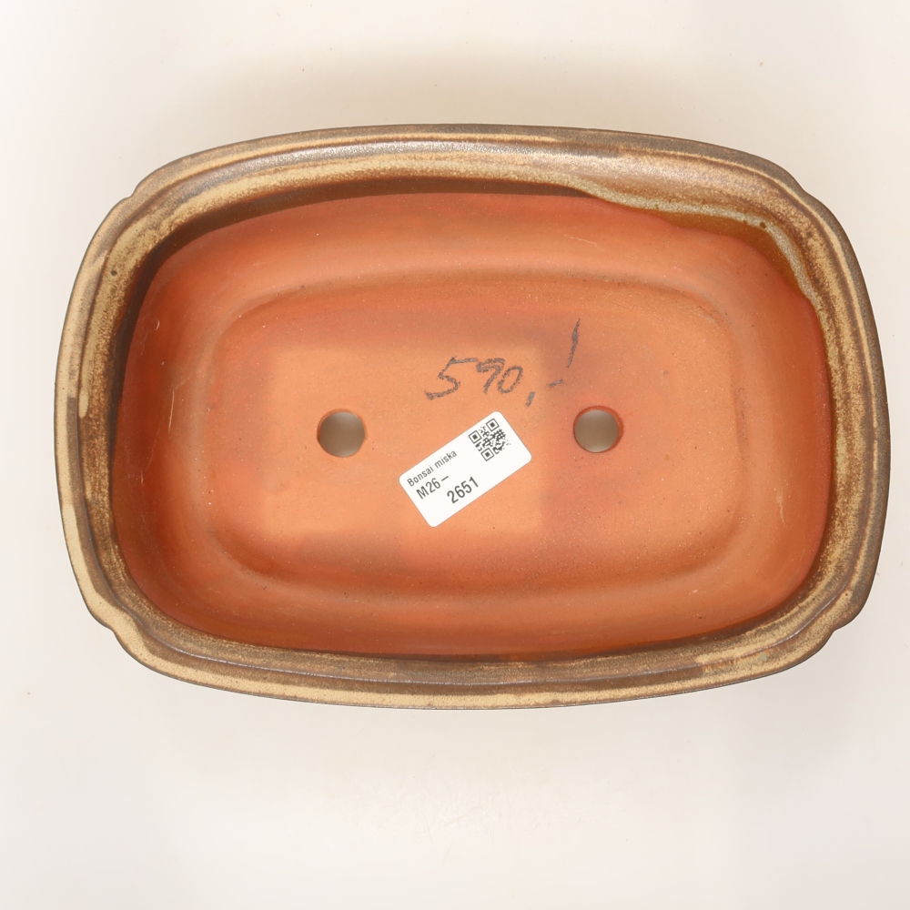 Ceramic Bowl 24.5 x 17.5 x 6 cm , color beige