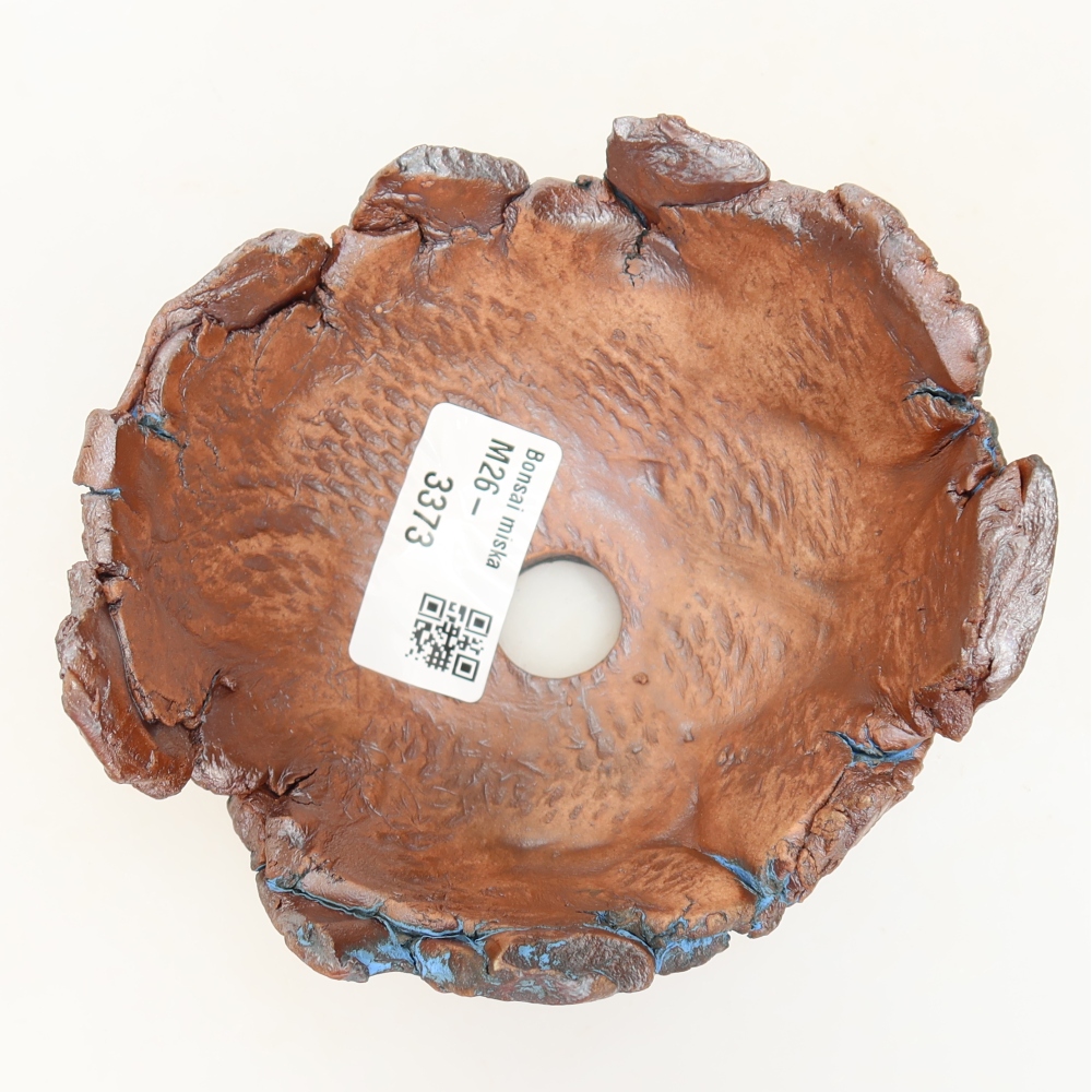 Ceramic Shell, 11 x 10.5 x 6 cm, blue