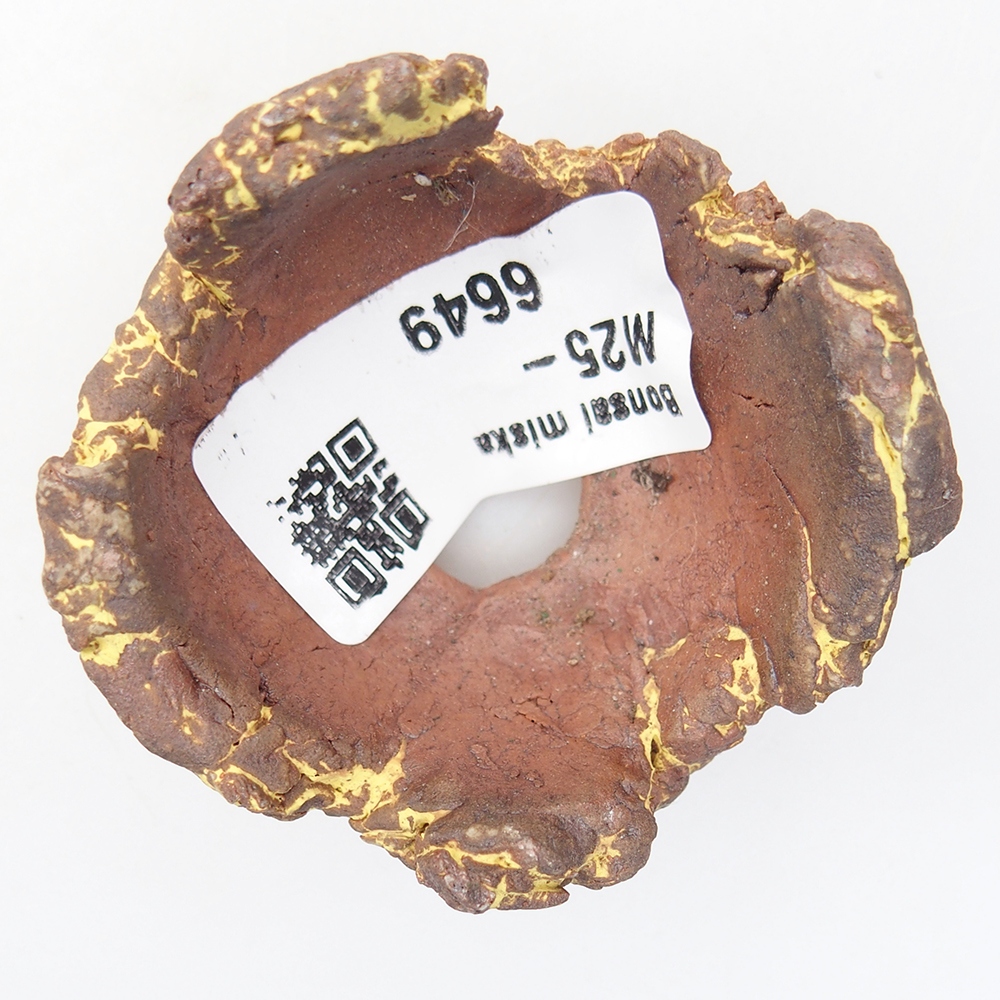 Ceramic Shell 5,5 x 5 x 4 cm , colour yellow