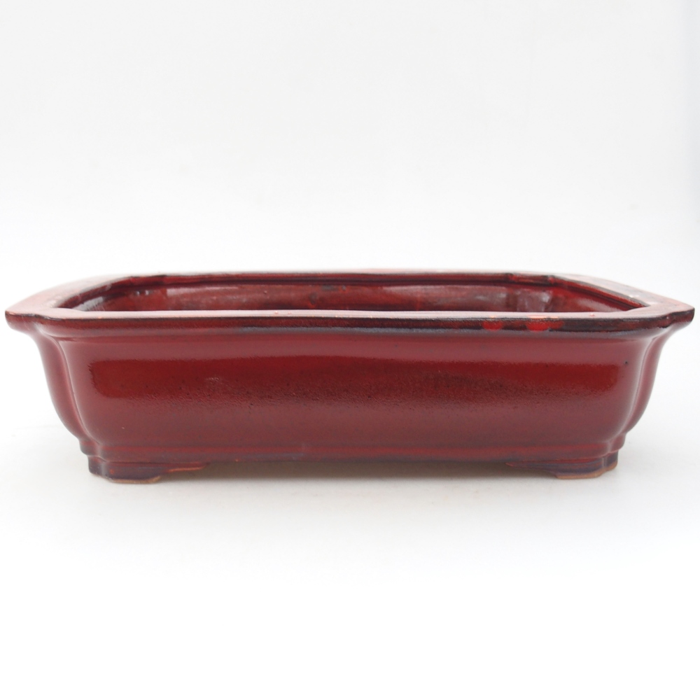 Ceramic bonsai bowl 28 x 22 x 7 cm, colour red