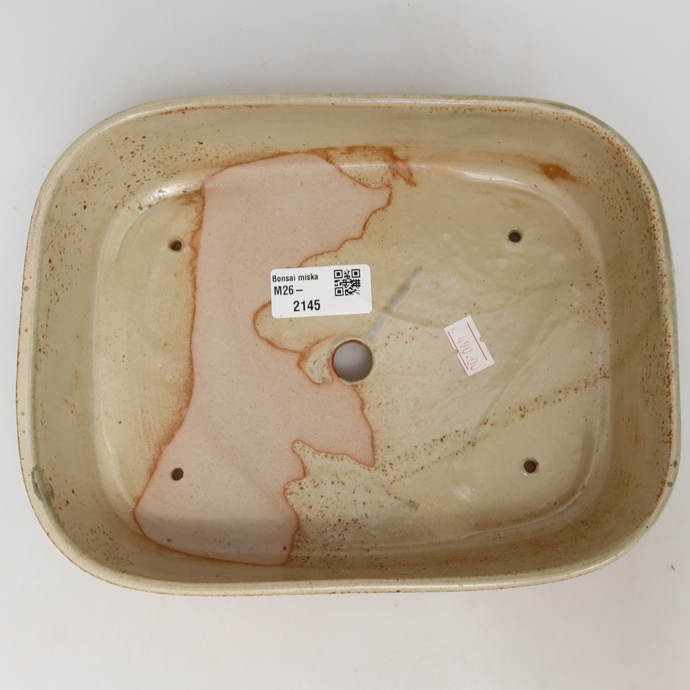 Ceramic bonsai pot, 23 x 18 x 5.5 cm, beige