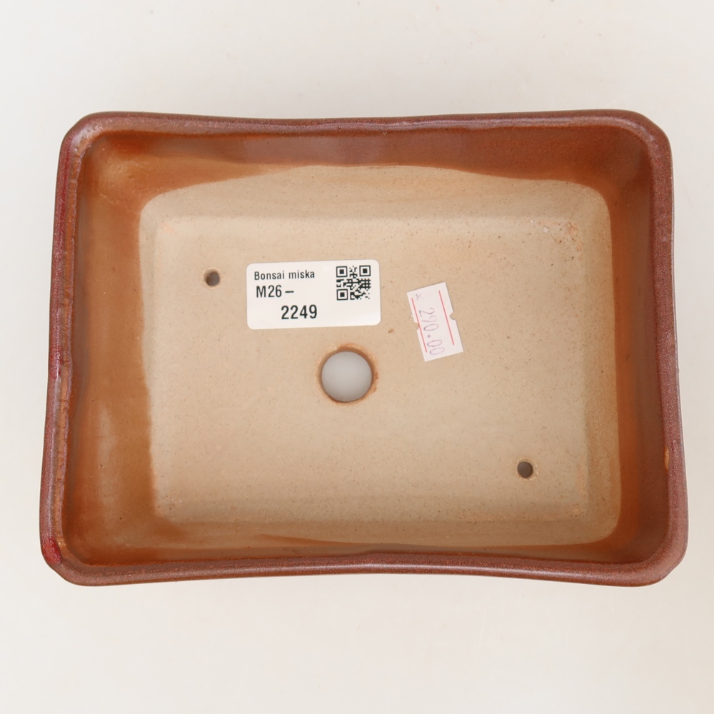 Ceramic bonsai bowl 16 x 12 x 6 cm, burgundy