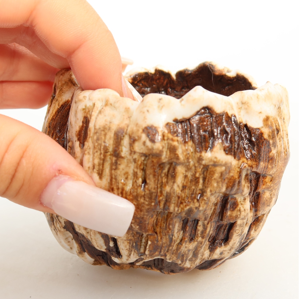 Ceramic Shell, 7.5 x 7 x 6.5 cm, white-brown