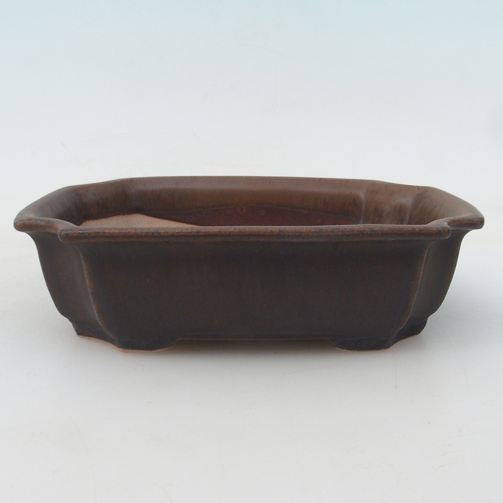 Bonsai bowl + saucer H01 - 12x9x5 cm