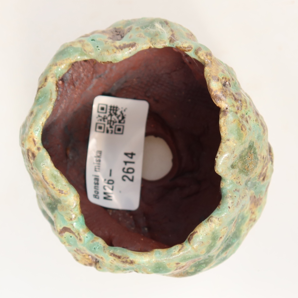 Ceramic Shell, 7.5 x 6.5 x 6.5 cm, green