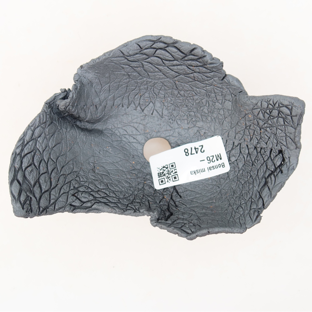 Ceramic Shell  13.5 x 9.5 x 6 cm, metallic color