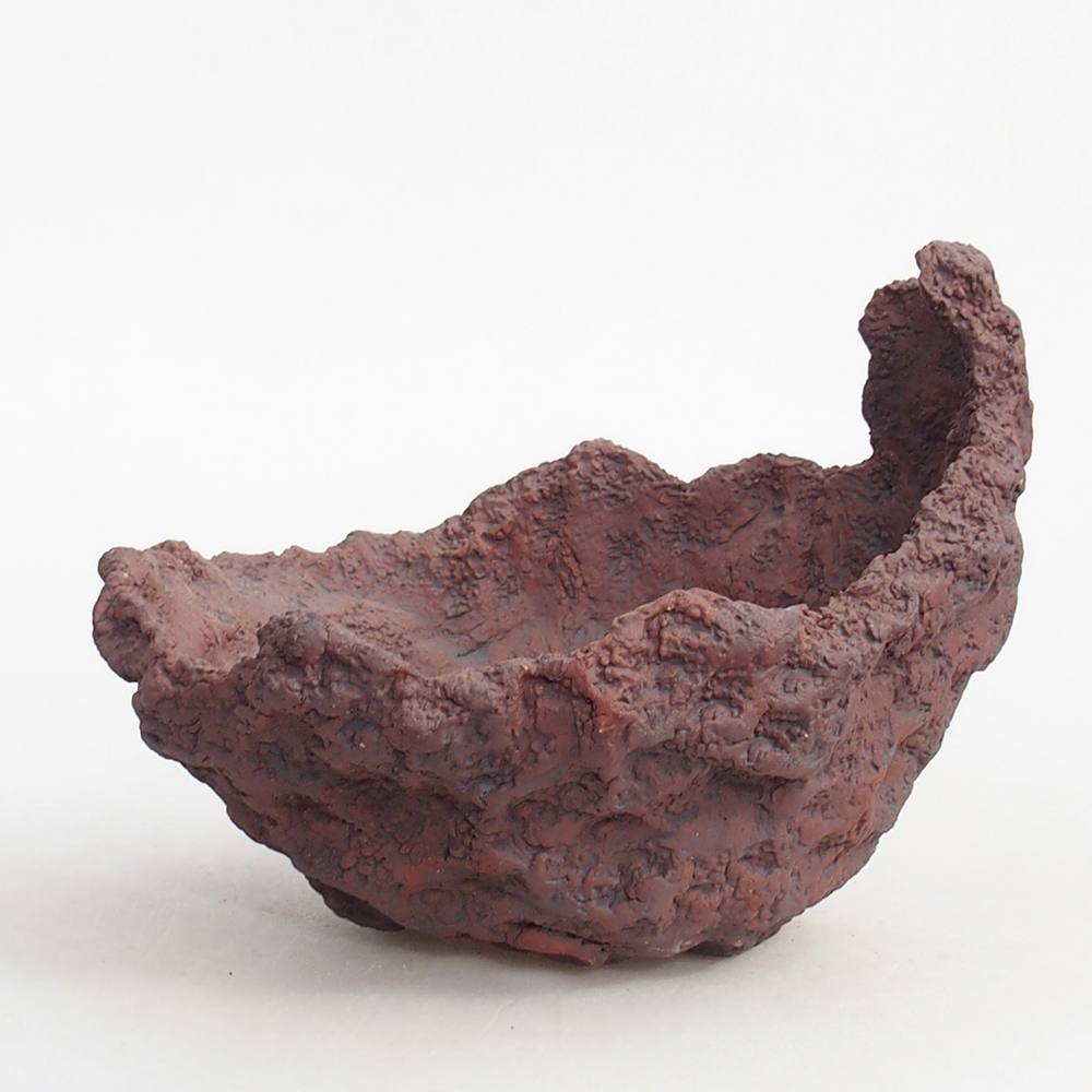 Ceramic Shell 13 x 11 x 12 cm , colour brown