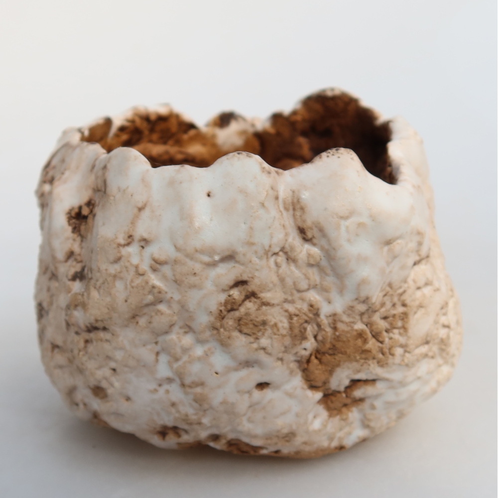 Ceramic Shell, 7 x 7 x 6 cm, white-brown