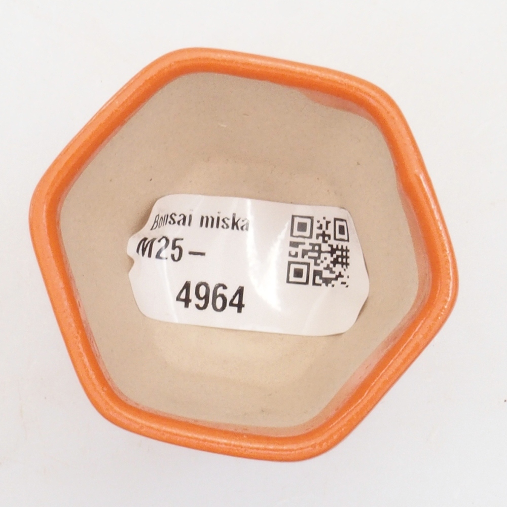 Mini bonsai bowl 5 x 5 x 5 cm, color orange