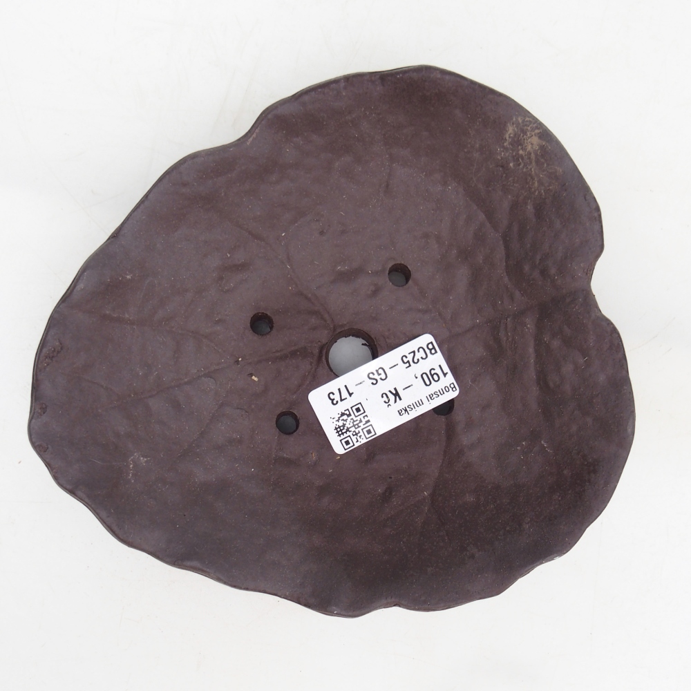 Ceramic Shell 16 x 14,5 x 4 cm , colour brown