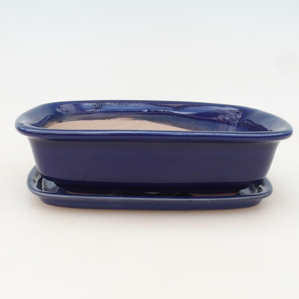 Bonsai bowl + saucer H02 - blue