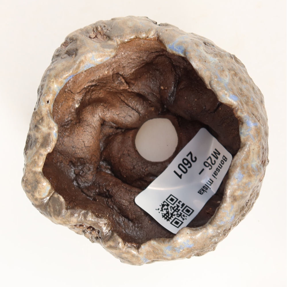 Ceramic Shell, 7 x 7 x 5.5 cm, blue-brown