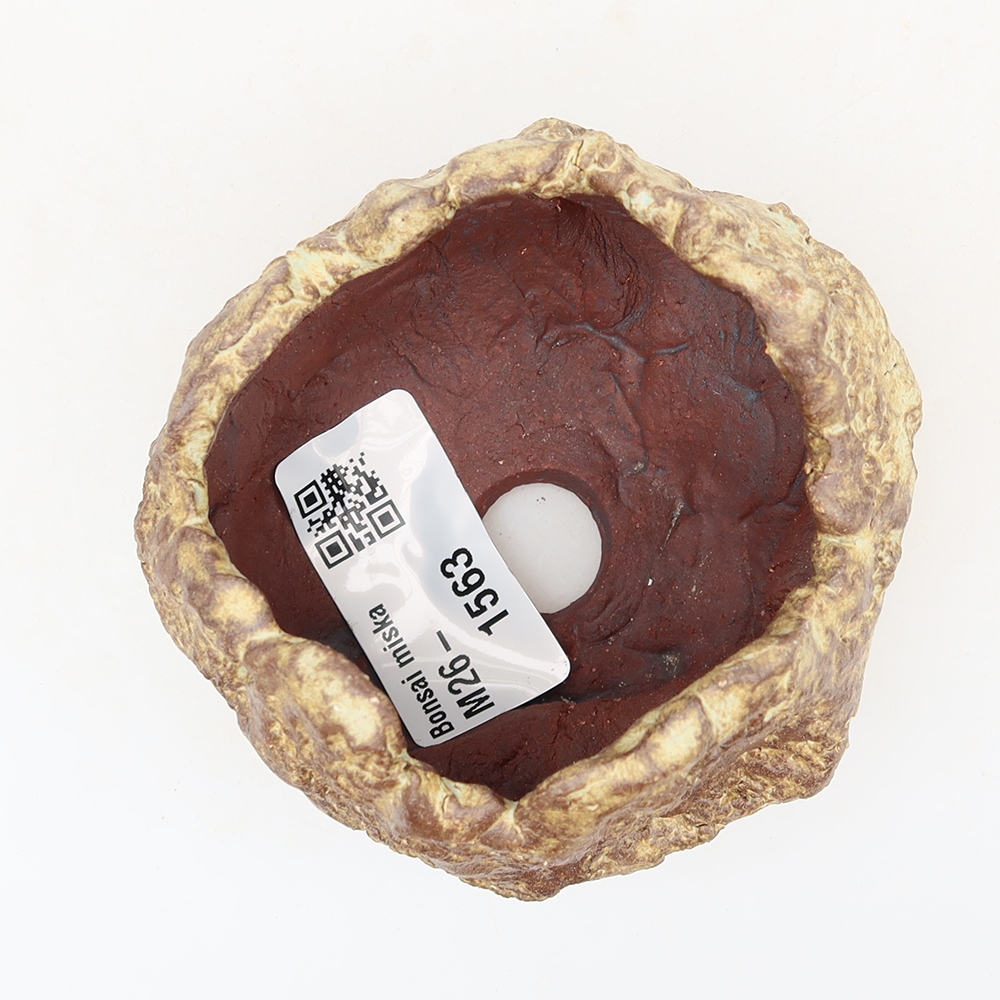 Ceramic Eggshell  6 x 5 x 5.5 cm, brown