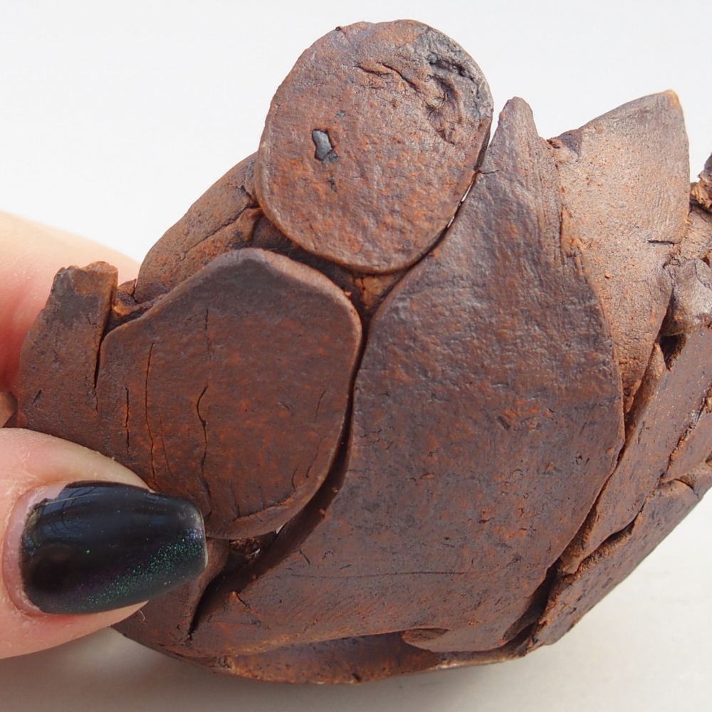 Ceramic shell 8,5 x 8,5 x 5,5 cm , colour brown