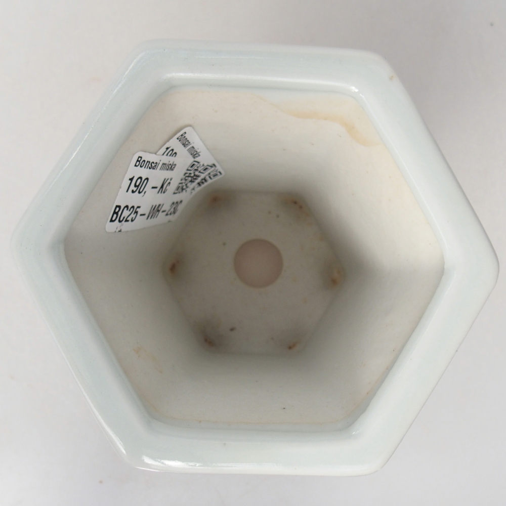Ceramic bonsai bowl 10 x 9 x 9 cm, colour white