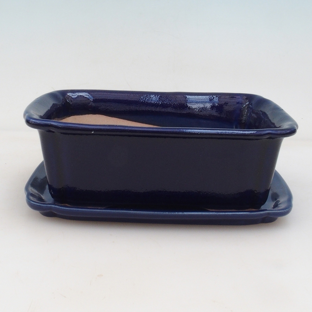 Bonsai bowl + saucer H50 - blue