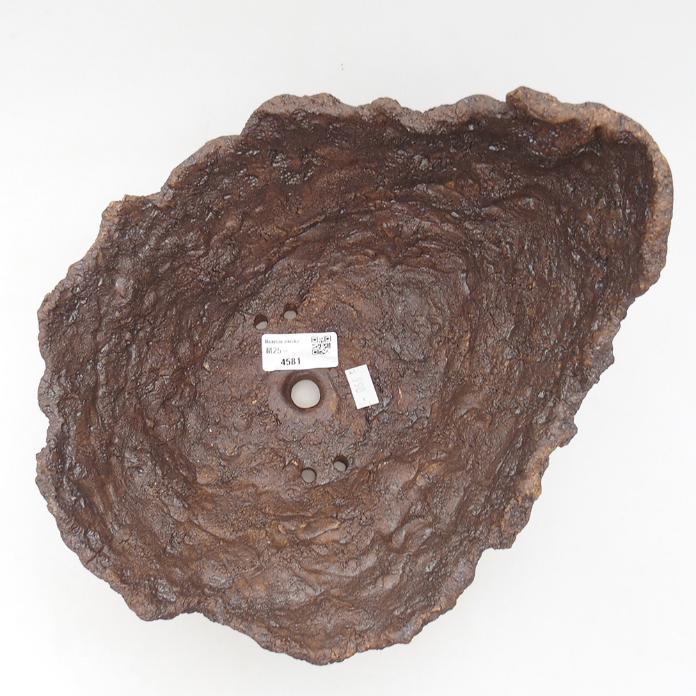 Ceramic shell 24,5 x 23 x 20 cm, brown color