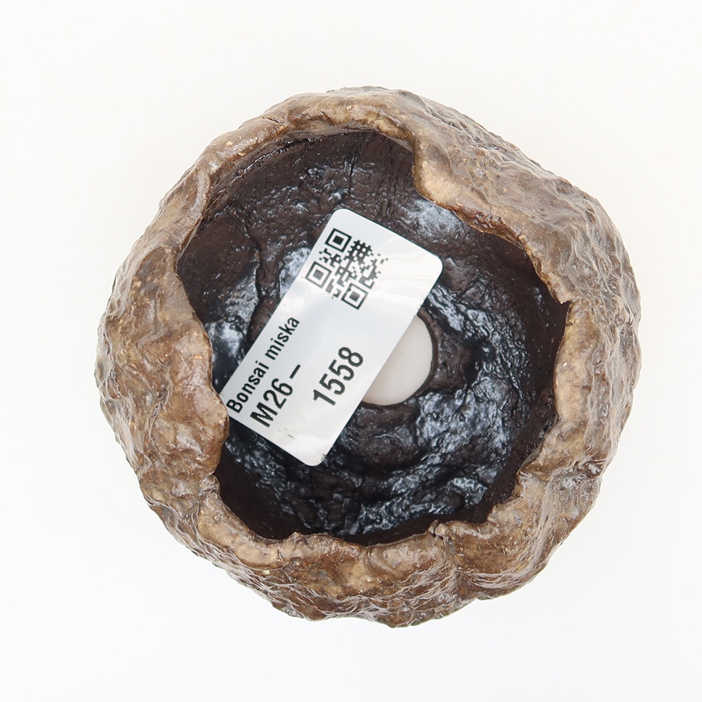 Ceramic Shell  6 x 4.5 x 6 cm, brown