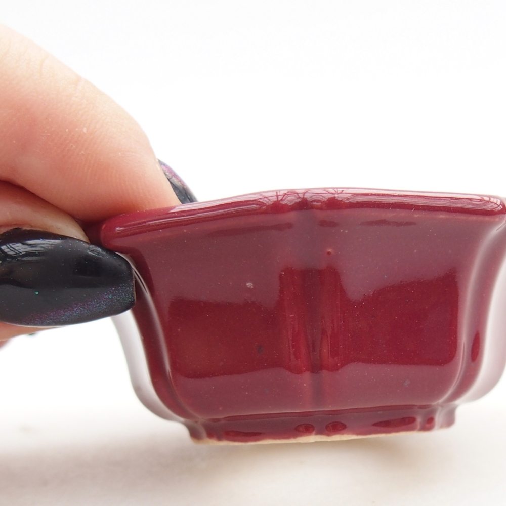 Mini bonsai bowl 6 x 6 x 2,5 cm, burgundy