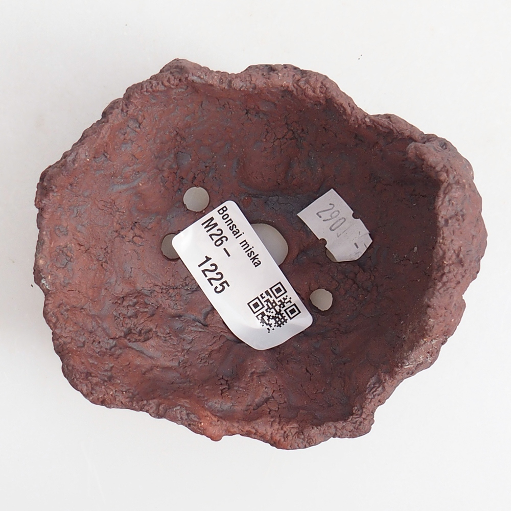 Ceramic Shell 9 x 7,5 x 9 cm , colour brown