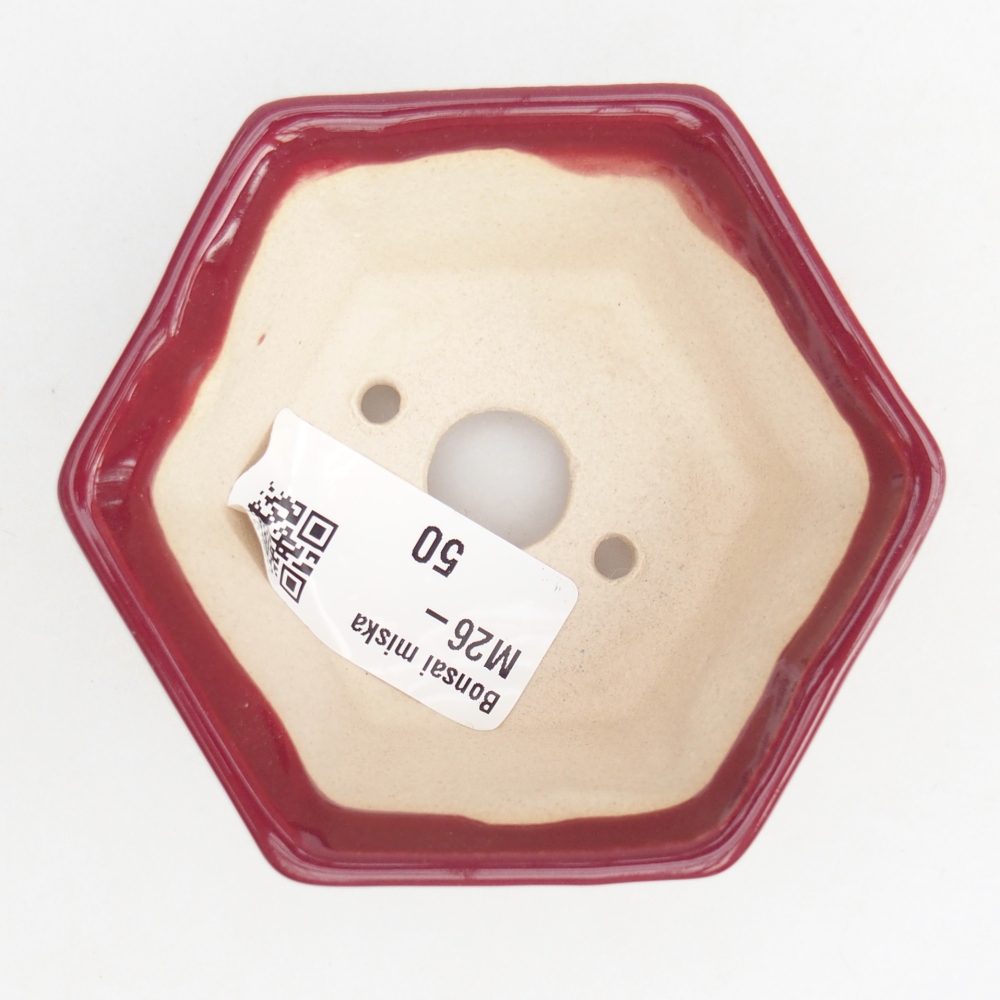 Mini bonsai bowl 8 x 7 x 4 cm, burgundy