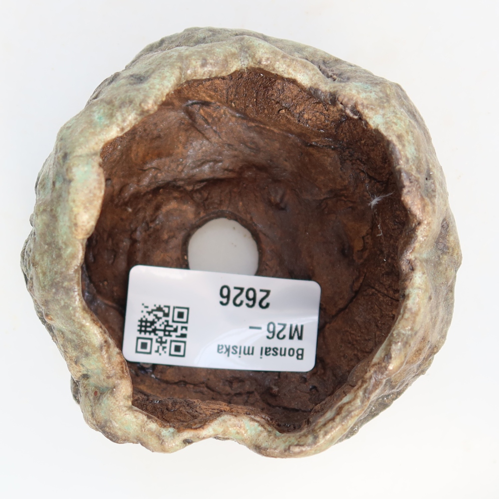 Ceramic Shell, 7 x 7 x 5.5 cm, green