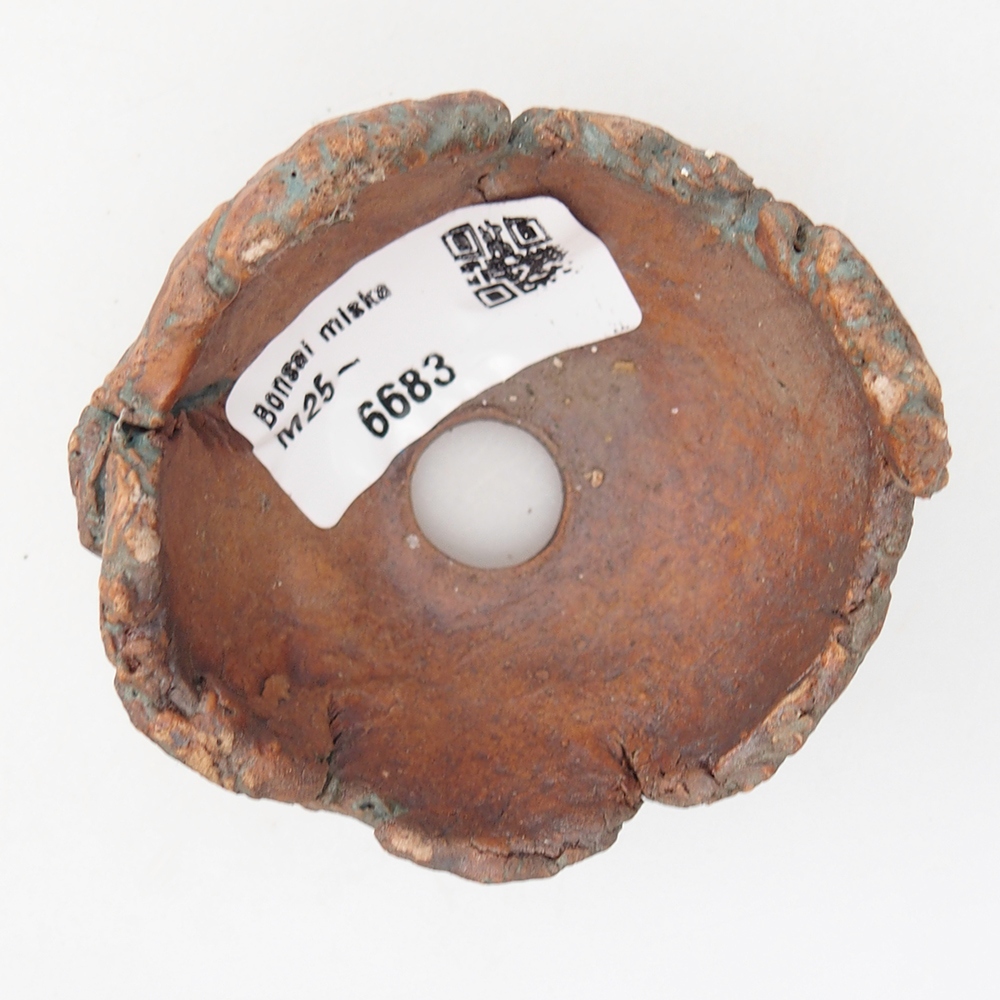 Ceramic Shell 7 x 6,5 x 4,5 cm , colour green