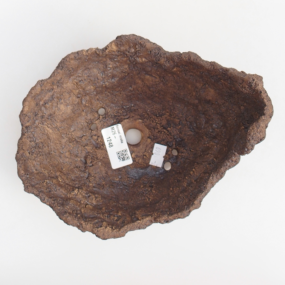 Ceramic shell 19 x 15 x 14 cm , colour brown