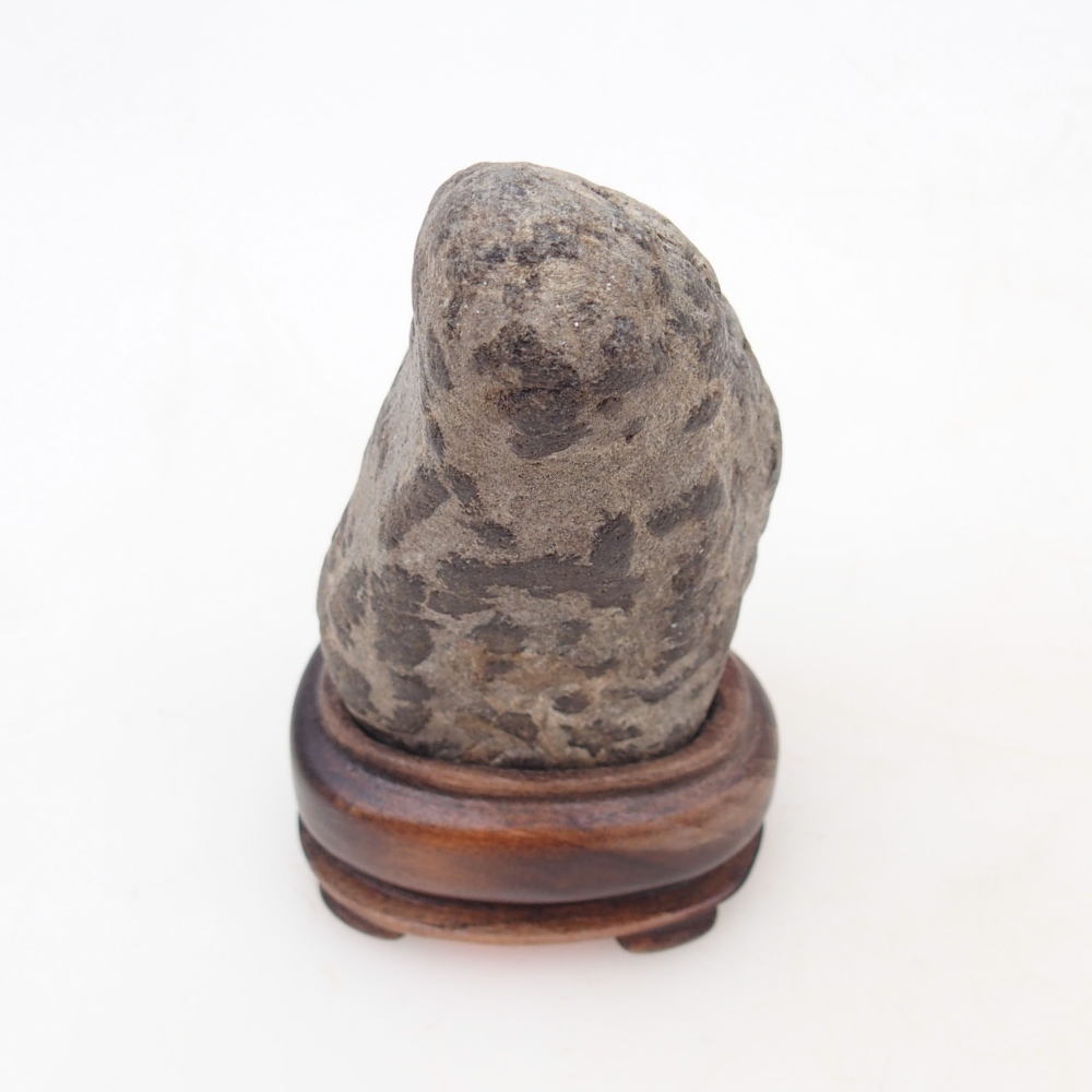 Suiseki - Stone with DAI (wooden pad)