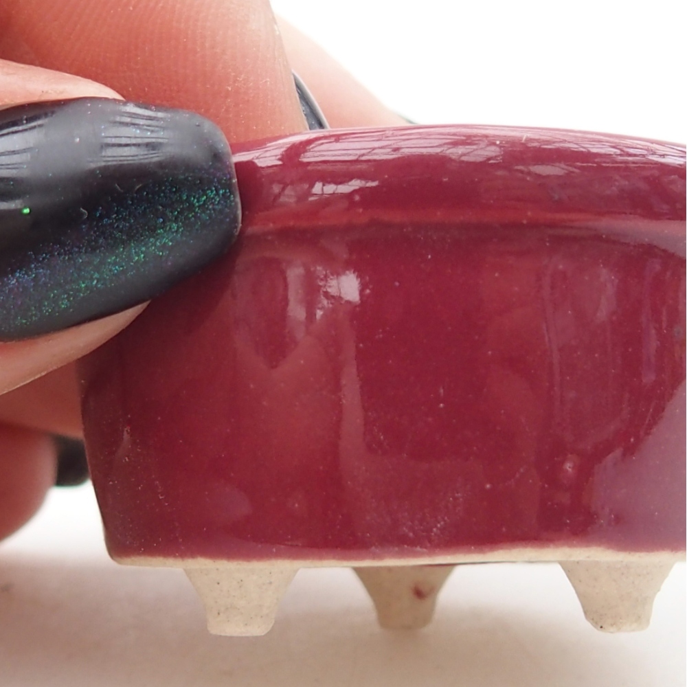Mini bonsai bowl 4 x 4 x 2 cm, burgundy
