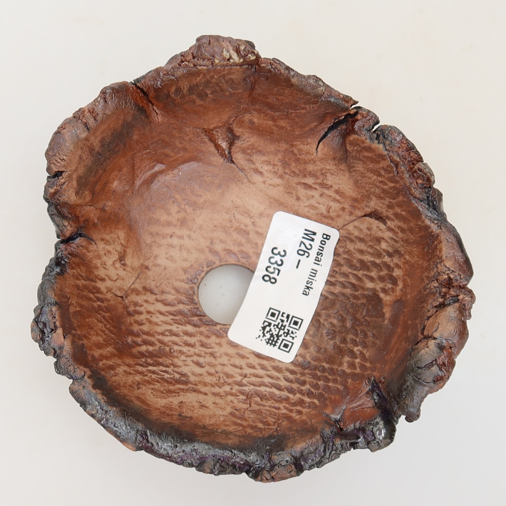 Ceramic Shell  10.5 x 10.5 x 6 cm, brown