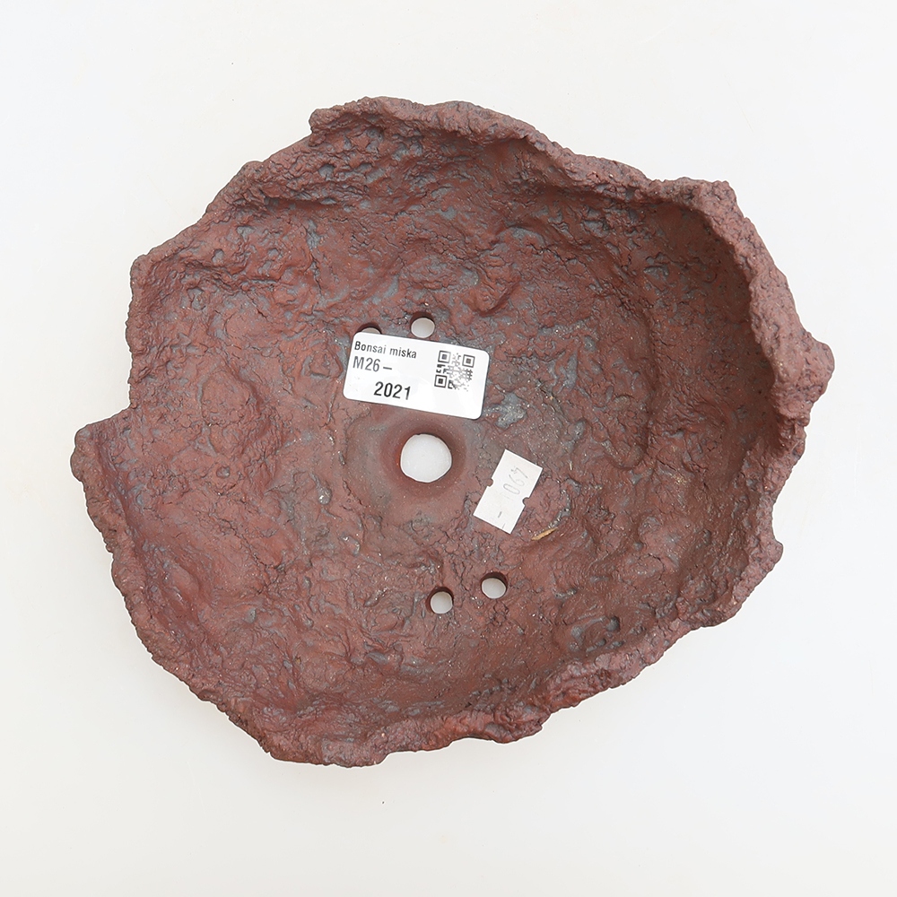 Ceramic Shell, 15 x 15 x 10.5 cm, brown