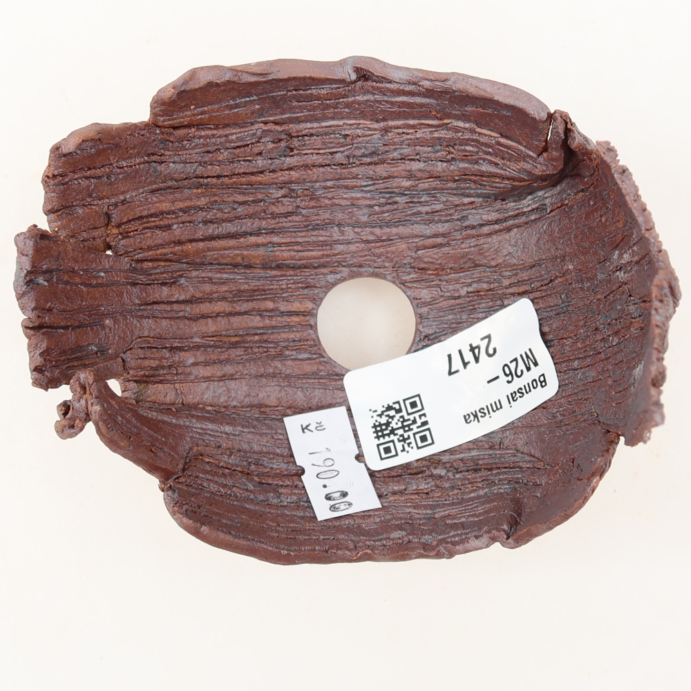 Ceramic Shell, 9.5 x 8.5 x 9 cm, brown