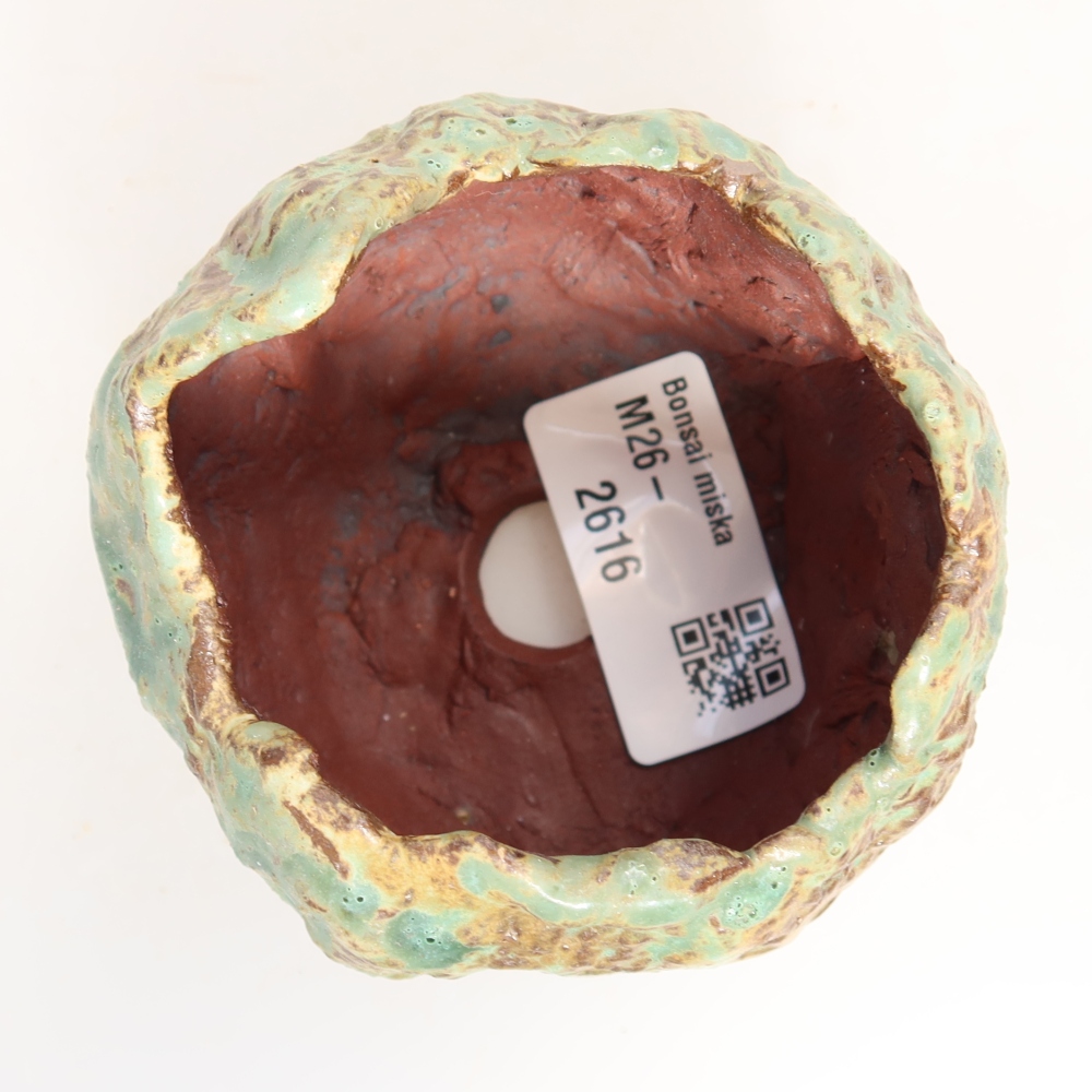Ceramic Shell, 7.5 x 7 x 6.5 cm, green