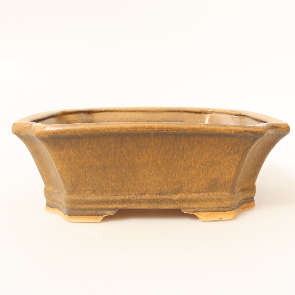 Ceramic bonsai pot, 18 x 15 x 6 cm, brown