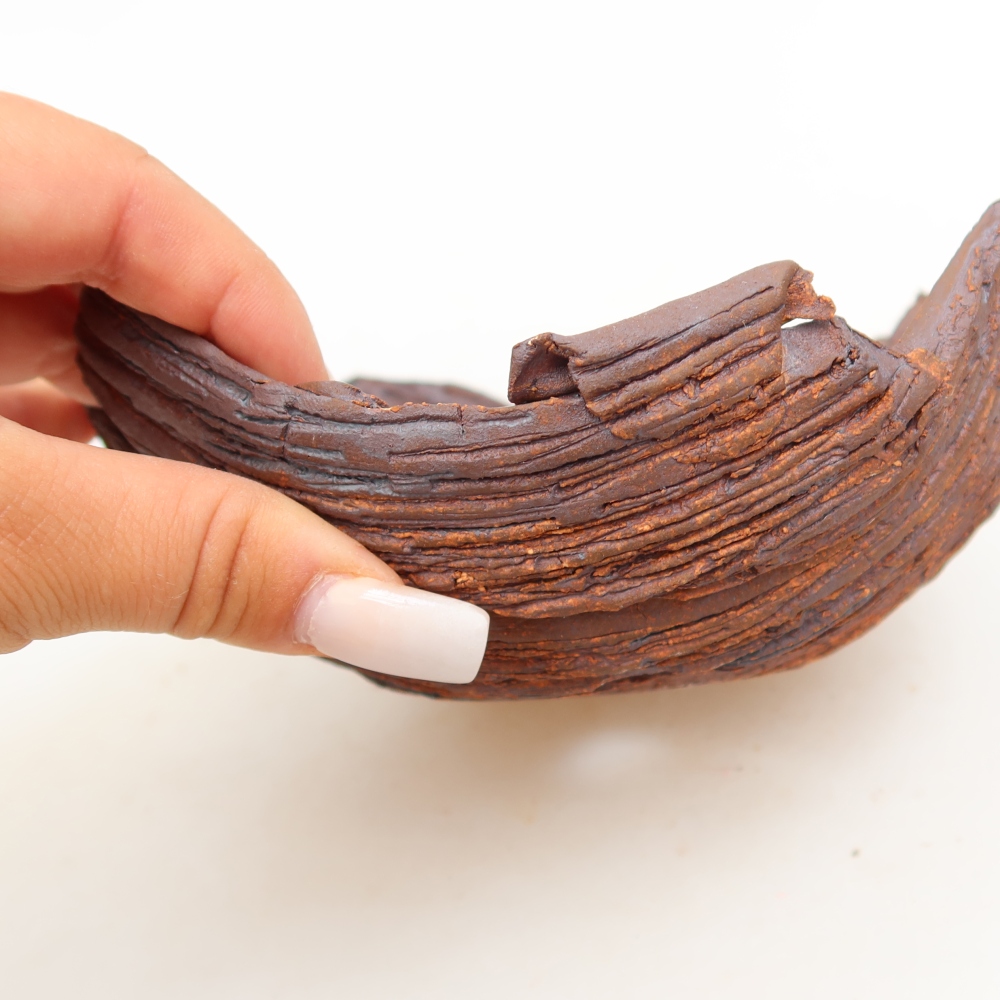 Ceramic Shell  15 x 13 x 6.5 cm, brown