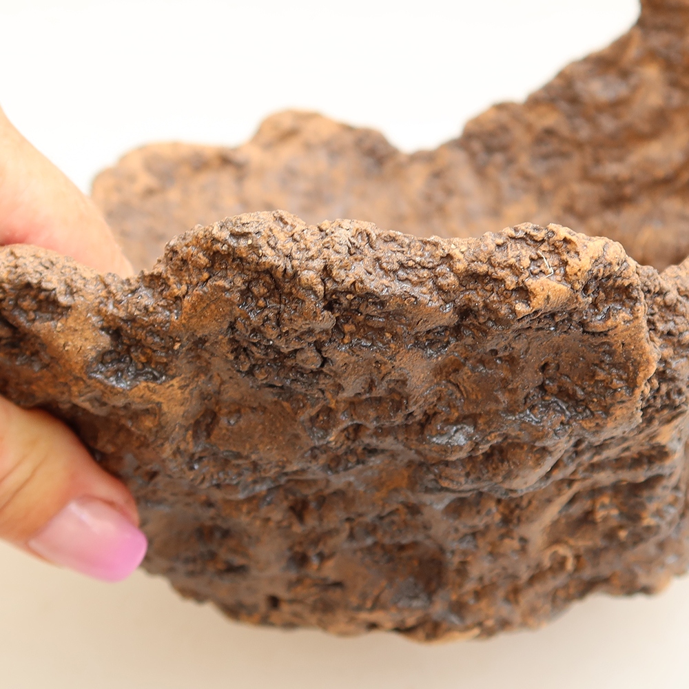 Ceramic Shell, 22 x 19 x 17 cm, brown