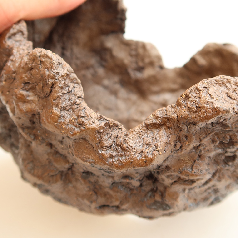 Ceramic Shell, 13.5 x 12 x 13 cm, brown