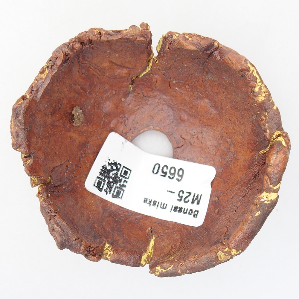 Ceramic Shell 7 x 6,5 x 4 cm , colour yellow
