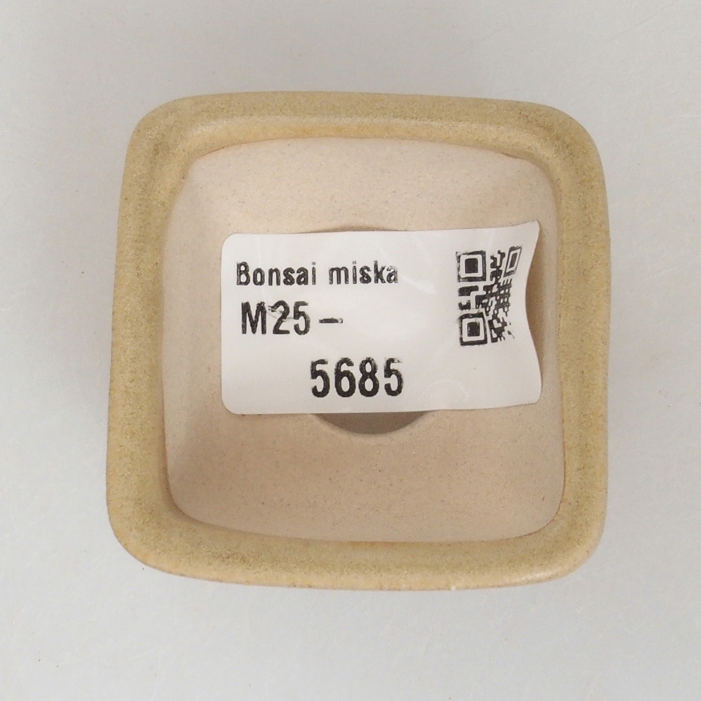 Mini bonsai bowl 4,5 x 4,5 x 3 cm, color brown