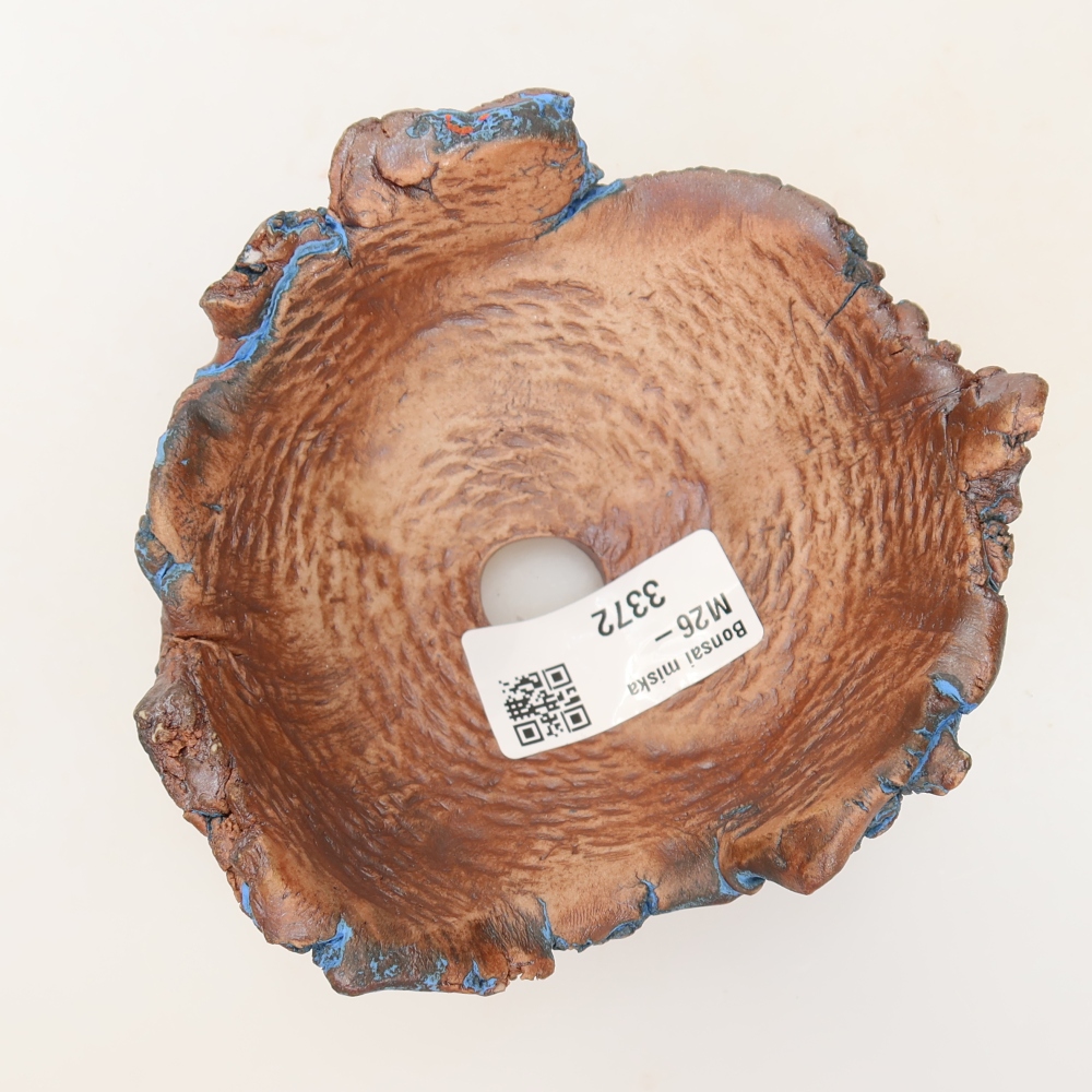 Ceramic Shell, 11 x 10.5 x 5.5 cm, blue