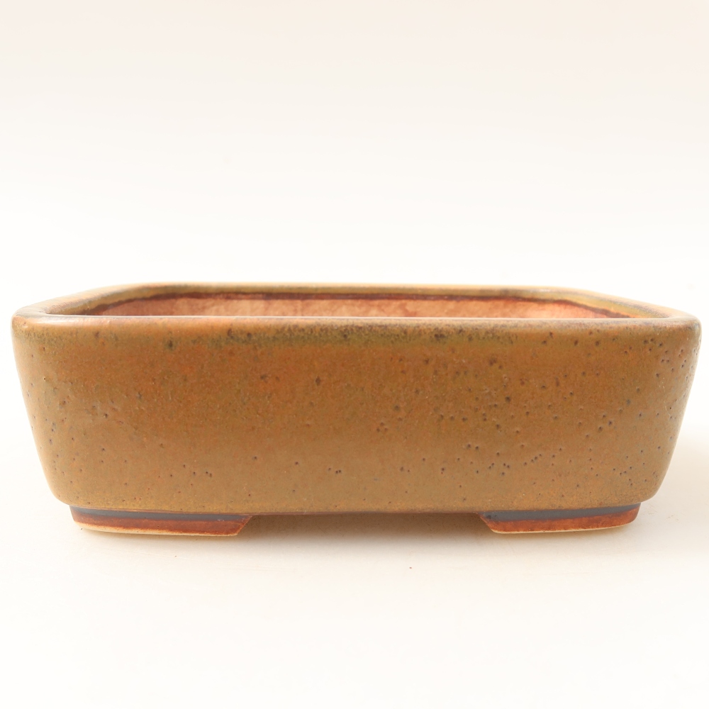 Ceramic bonsai pot, 14 x 11.5 x 4.5 cm, brown