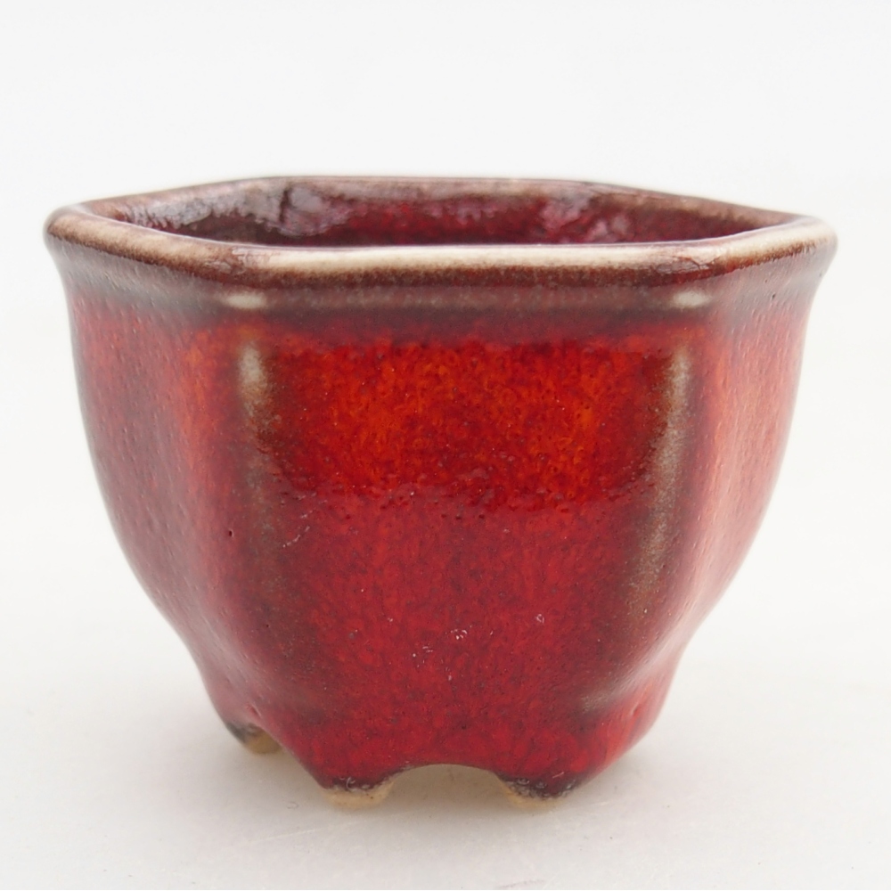 Mini bonsai bowl 4 x 4 x 3 cm, colour red