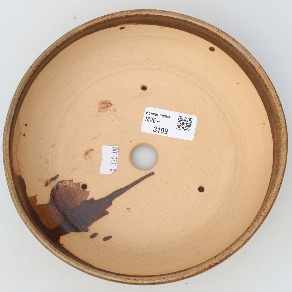 Ceramic bonsai pot, 19 x 19 x 5.5 cm, brown