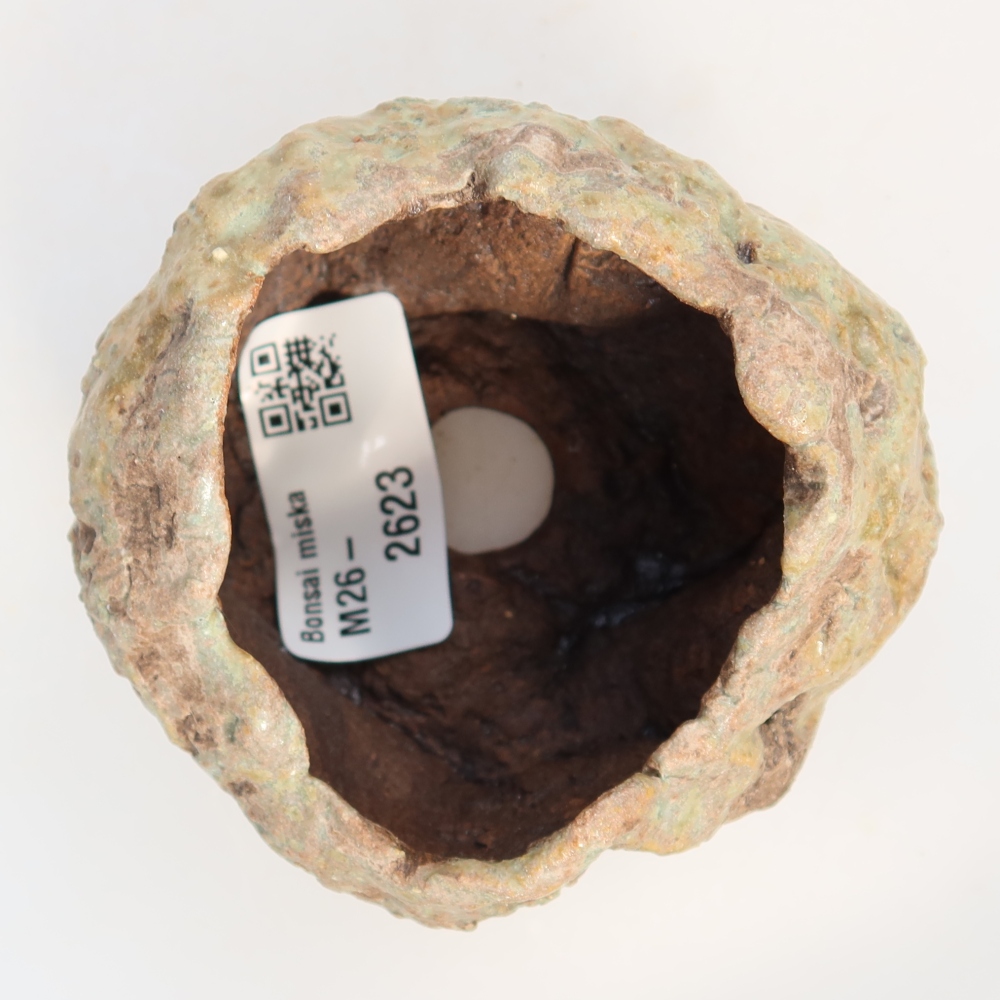 Ceramic Shell, 7.5 x 7 x 5 cm, green
