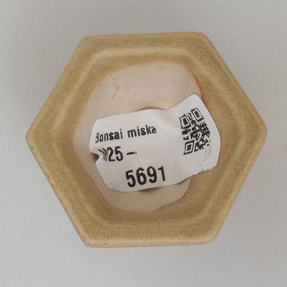 Mini bonsai bowl 4,5 x 4,5 x 2,5 cm, color brown