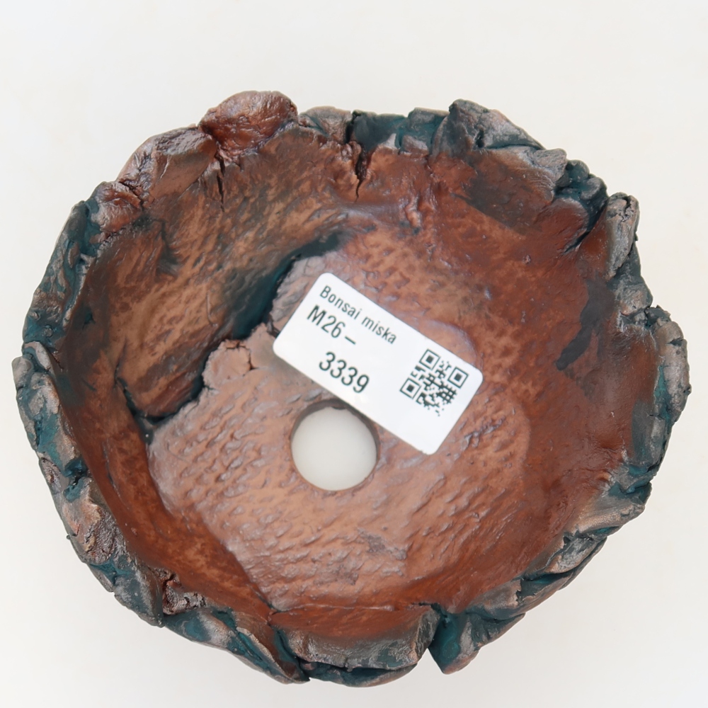 Ceramic Shell  11 x 11 x 7 cm, green