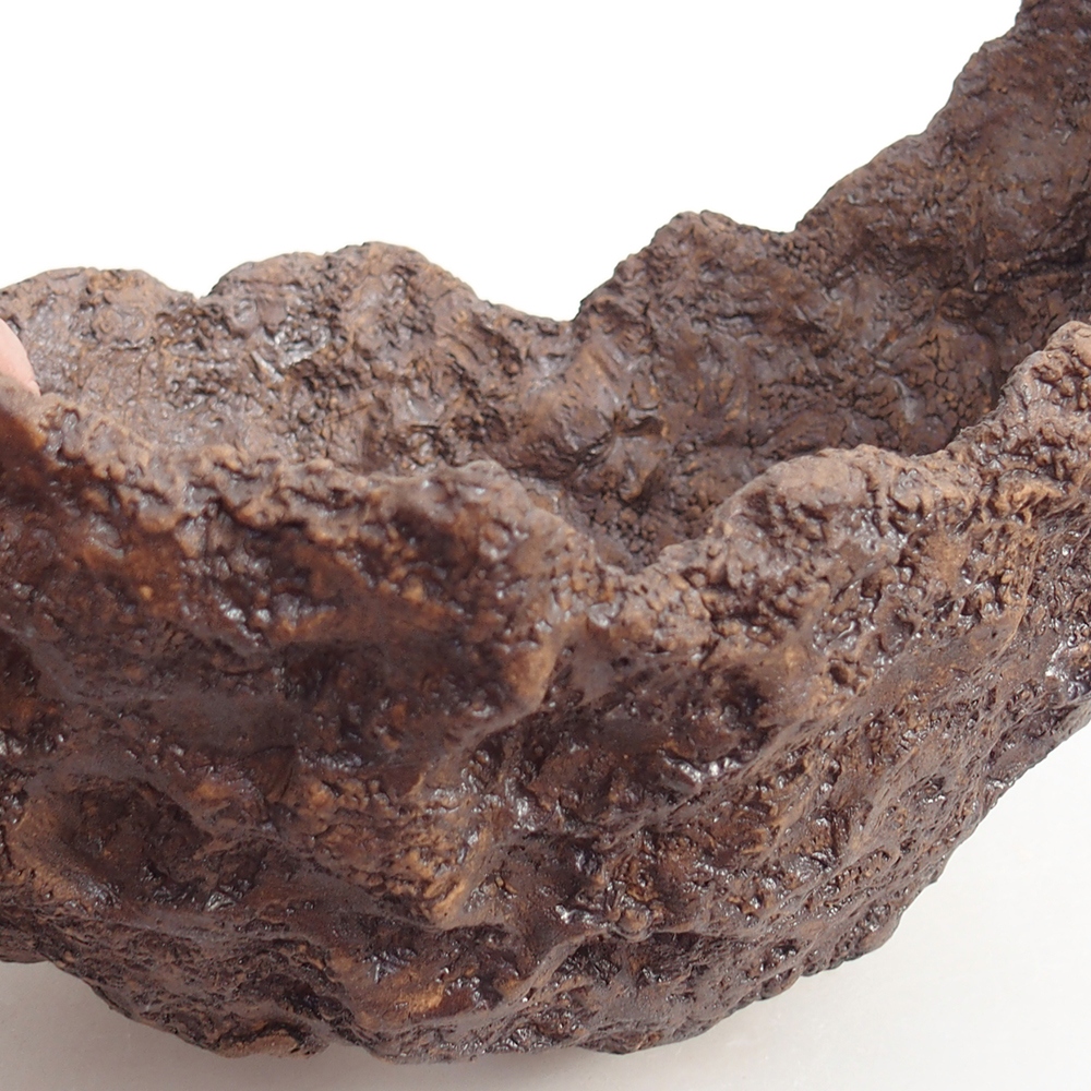 Ceramic Shell 20 x 16 x 17 cm , colour brown